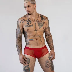 SHEER Sheer|Hipsters*Hipster Brief Rowan Red