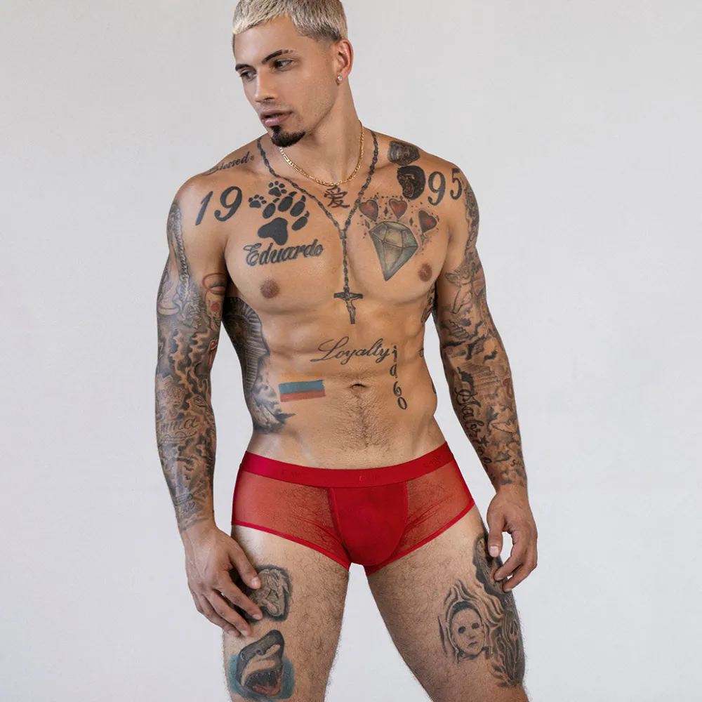 SHEER Sheer|Hipsters*Hipster Brief Rowan Red