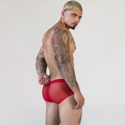 SHEER Sheer|Hipsters*Hipster Brief Rowan Red